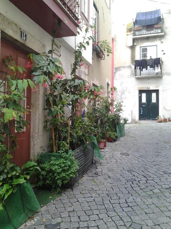 Tonic Flat Leilighet Lisboa Eksteriør bilde
